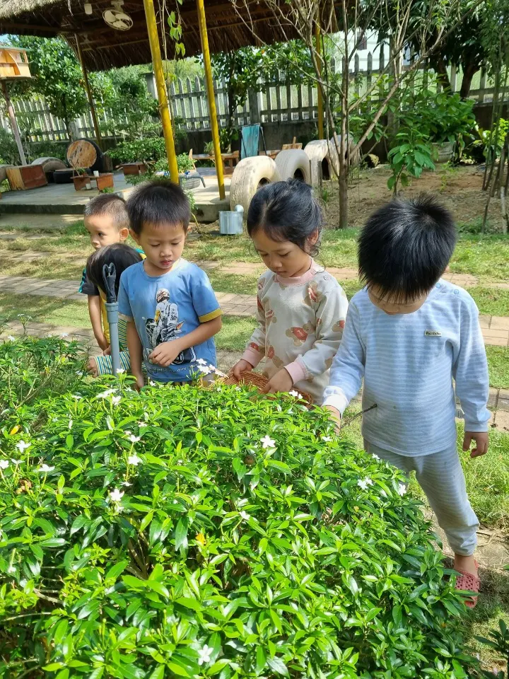 Mầm Non Làng Giáo Dục Trải Nghiệm JOY Village