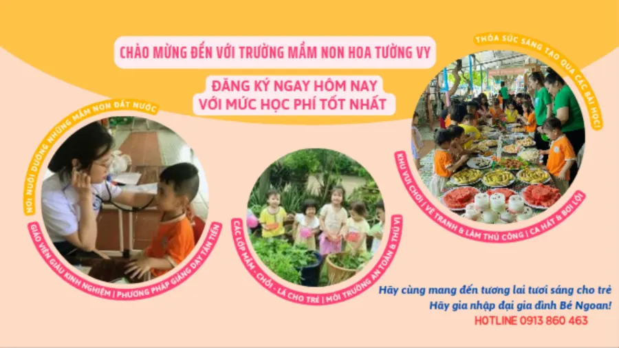 Trường Mầm Non Tư Thục Hoa Tường Vy