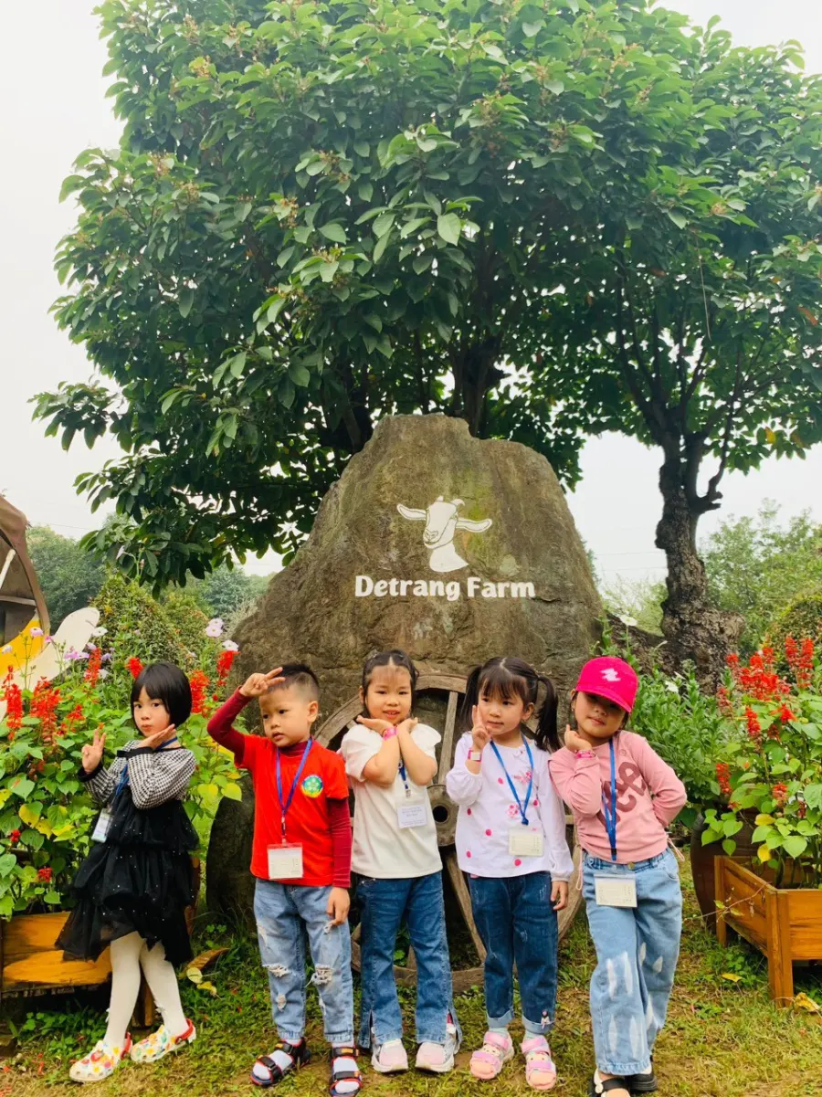 Trường Mầm Non Hoa Ban