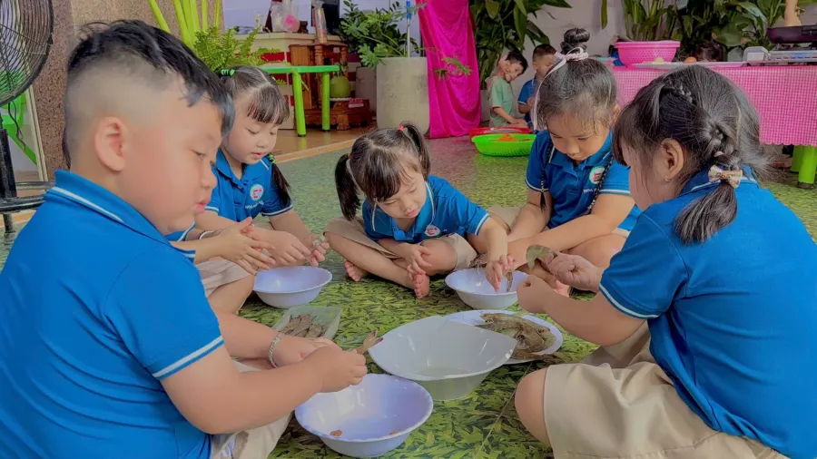 Trung Tâm Can Thiệp Hoa Mặt Trời
