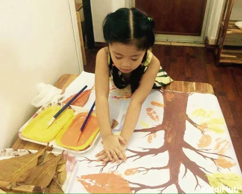 Trường Mầm Non Montessori Việt Nhật - Seels Việt Nam