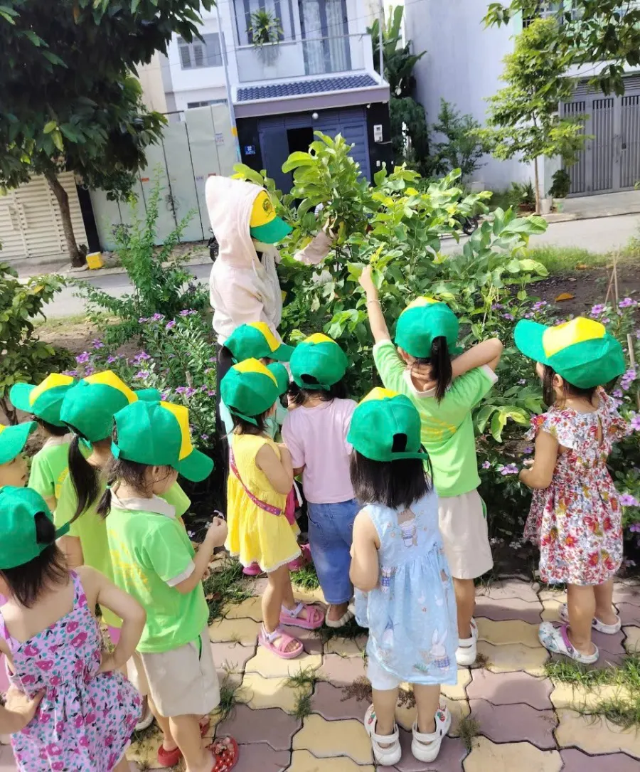 Mầm Non Ngôi Nhà Xanh