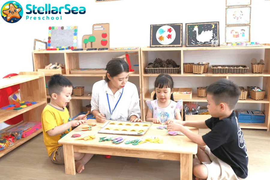 Trường Mầm Non Song Ngữ Stellar Sea - Phường Hồng Hải, Hạ Long