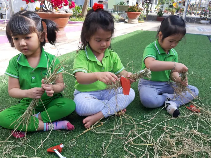 Trường MN Hoa Hướng Dương
