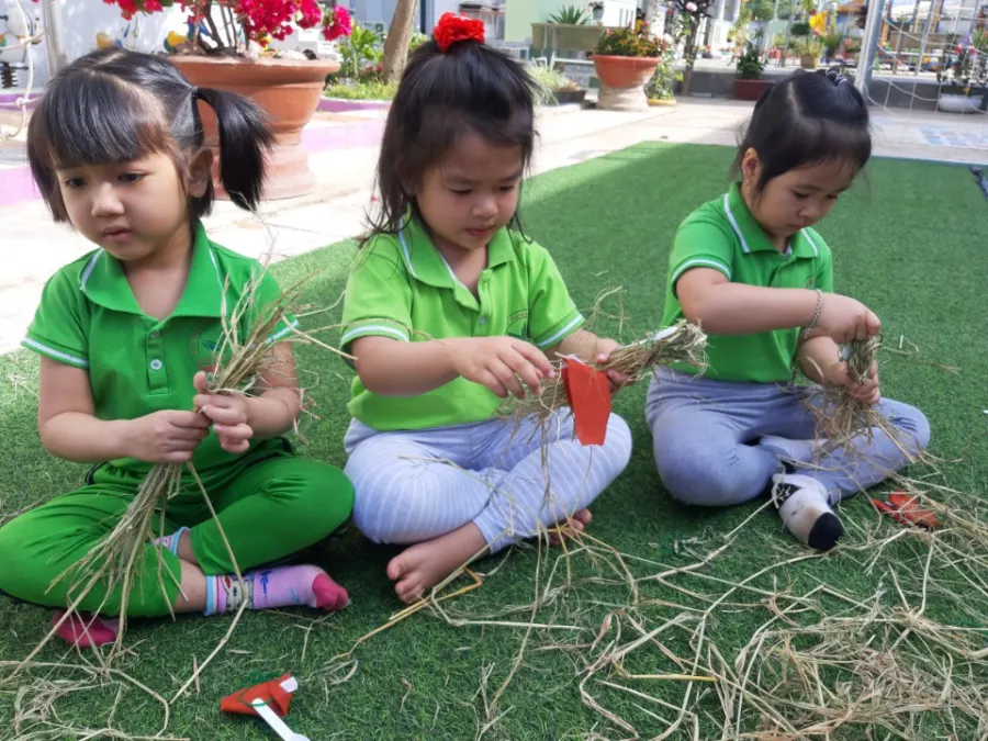 Trường MN Hoa Hướng Dương