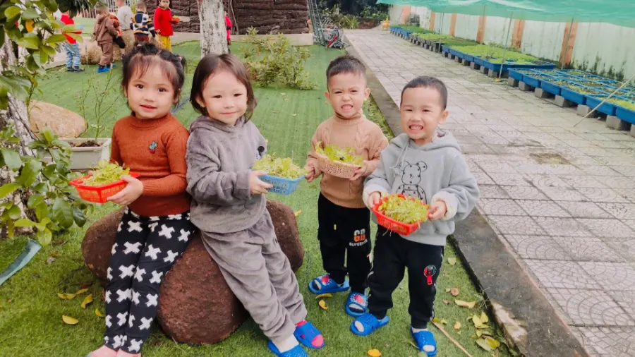 Trường Mầm Non Ban Mai - Tp Hà Tĩnh