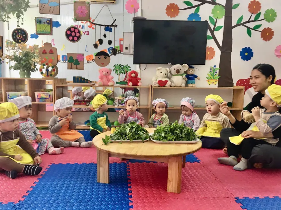 Trường Mầm Non Việt - Anh Kindergarten