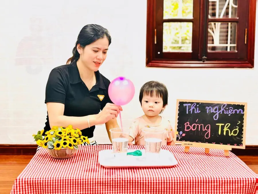 Trường Mầm Non Việt Mỹ Ngôi Nhà Lớn