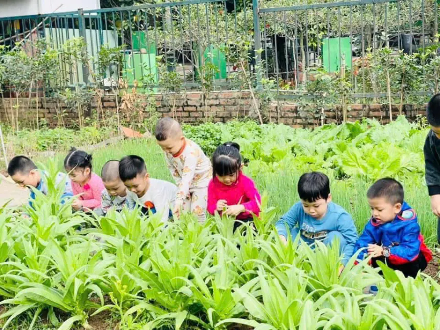 Trường Mầm non Ban Mai Xanh