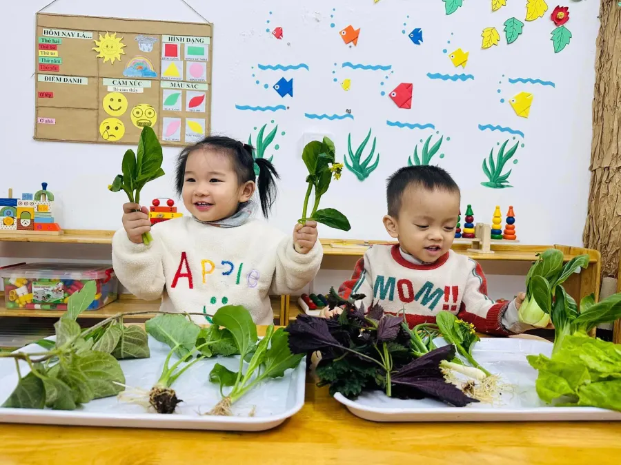 Trường Mầm Non Mặt Trời Bé Thơ (SunnyKids) - Phúc La, Hà Đông