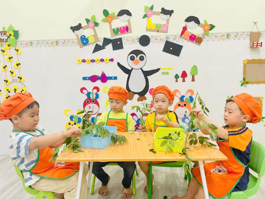 Trường Mầm Non Hòa Nhập Cỏ Ba Lá
