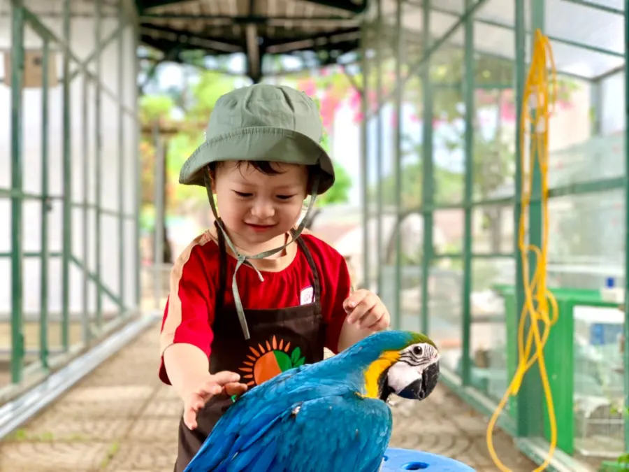 Trường Mầm non Hữu Nghị - Khu đô thị Him Lam - Hồng Bàng