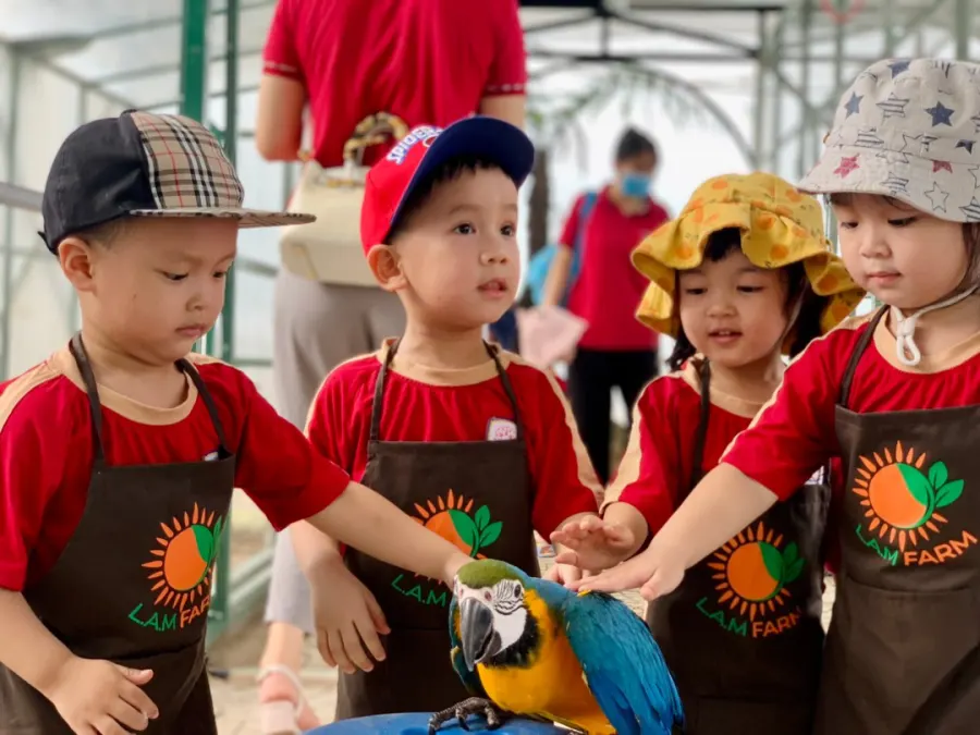Trường Mầm non Hữu Nghị - Khu đô thị Him Lam - Hồng Bàng