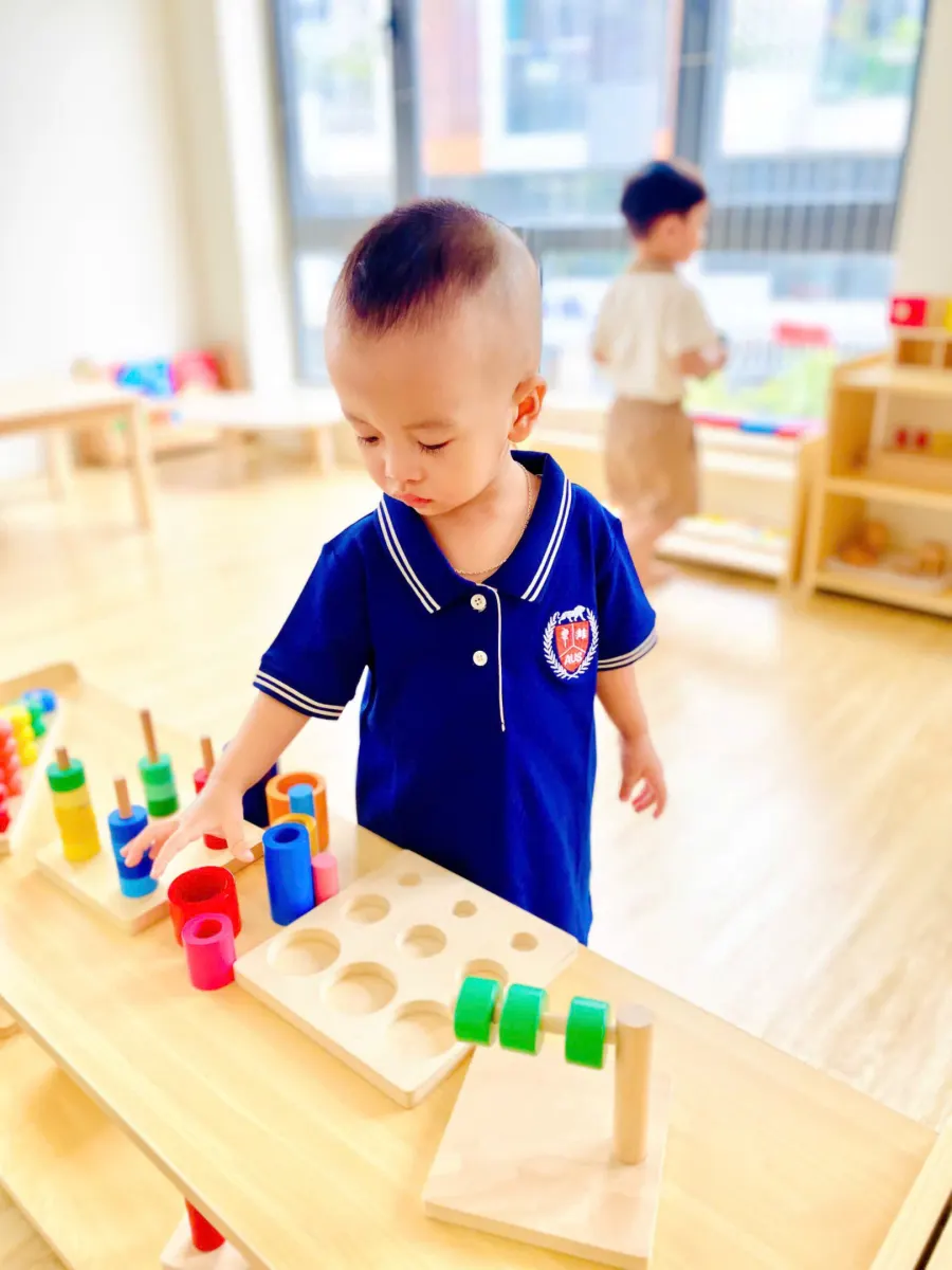 Trường Mầm Non Song Ngữ Học Viện Việt Mỹ - Phước Long - Hệ Thống AUS