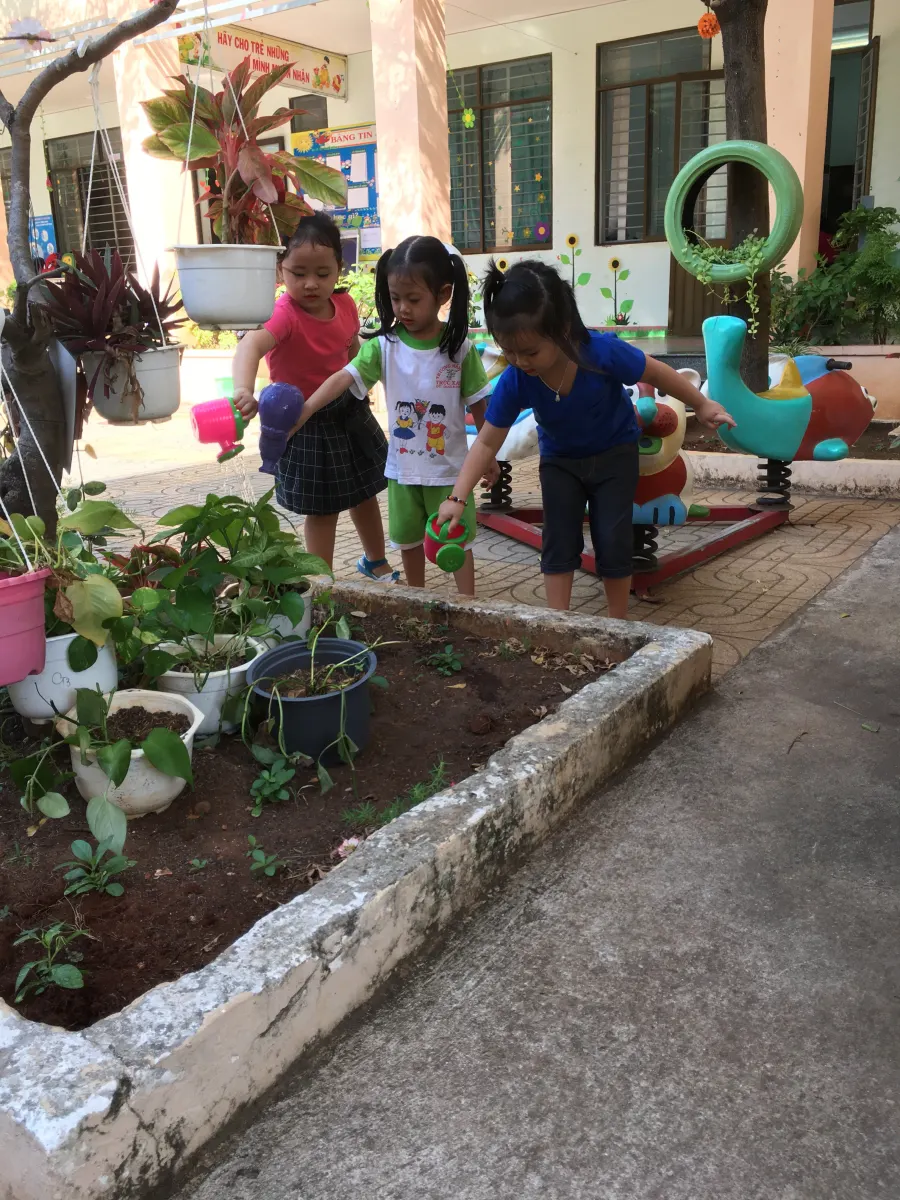 Trường Mầm Non Trúc Xanh