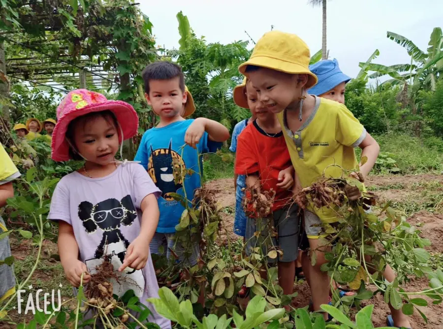 Trường mầm non Linh Trang ( Cơ Sở 1 )