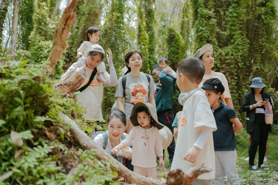 Mầm Non Củ Khoai Lang Homeschool - Waldorf / Steiner Inspired