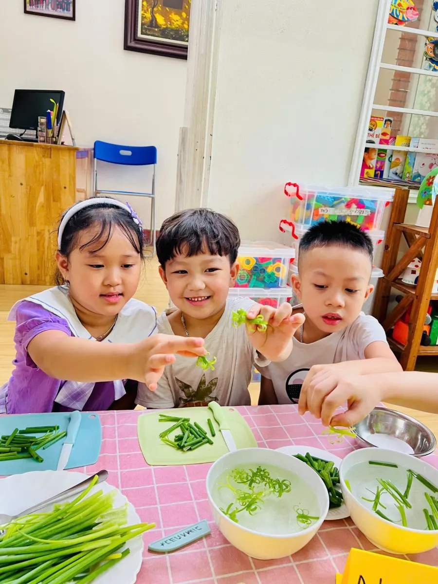Trường mầm non Vàng Anh