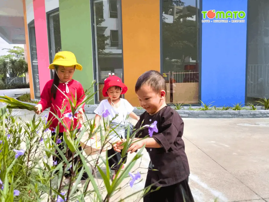 Trường Mầm Non Đa Trí Thông Minh TOMATO Bến Lức - The Pearl Riverside