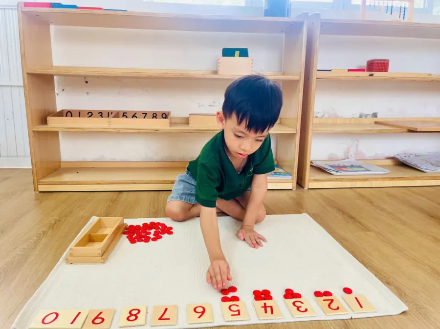 Trường Mầm Non Safari Montessori Academy Quang Minh
