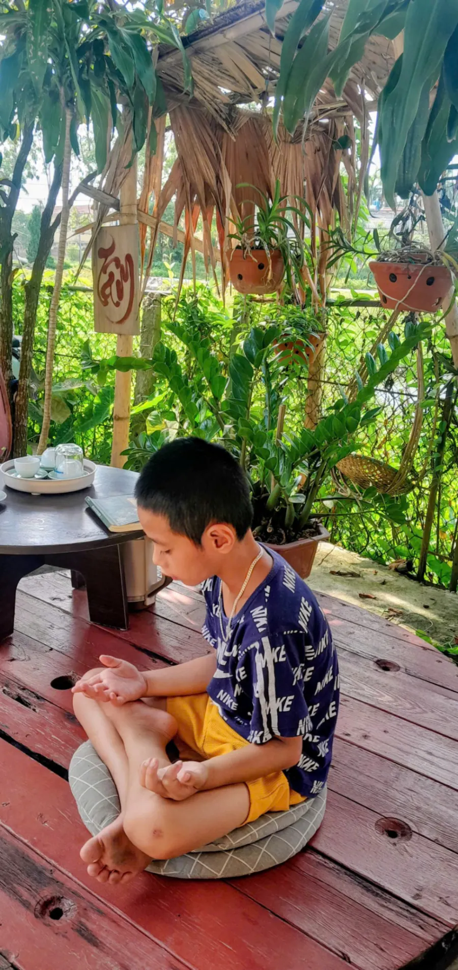 Trung Tâm Đào Tạo Hoa Sen Coaching - Đông Tiên Hưng