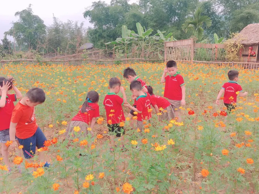 Trường mầm non Hoa Trạng Nguyên