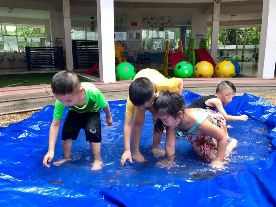 Trường mầm non Thái Hải