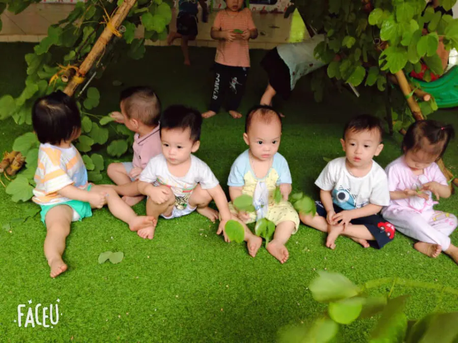 Trường mầm non Thái Hải