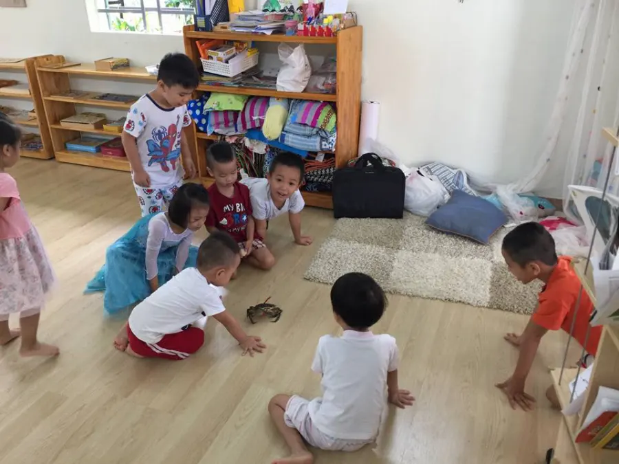Trường mầm non Montessori Bees'House