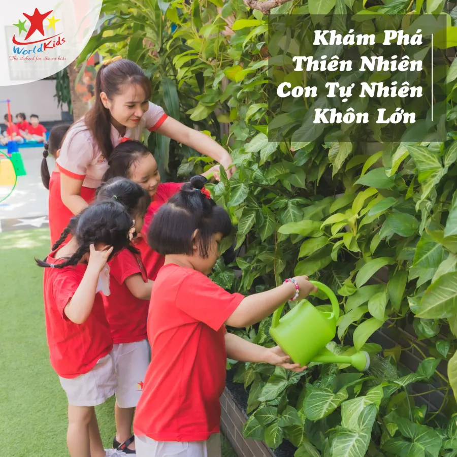 Trường mầm non Quốc Tế Worldkids/ WIS Bình Tân