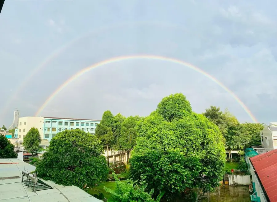 Trường mầm non Hoa Phượng