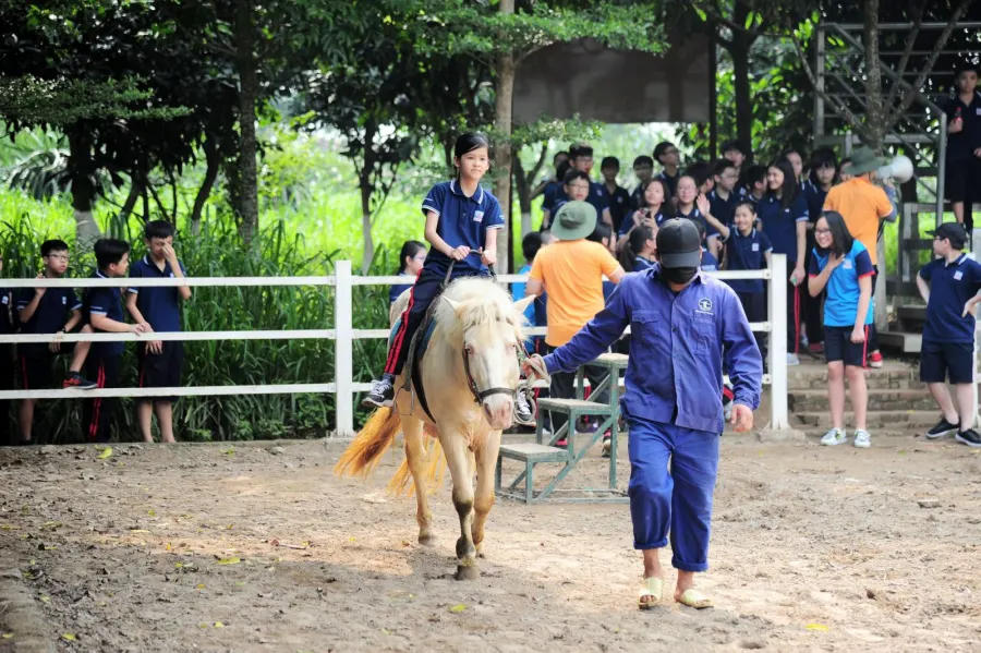 Trường Tiểu học, THCS & THPT Nguyễn Siêu