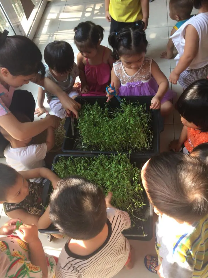 Trường mầm non Gấu Trúc Panda Kids
