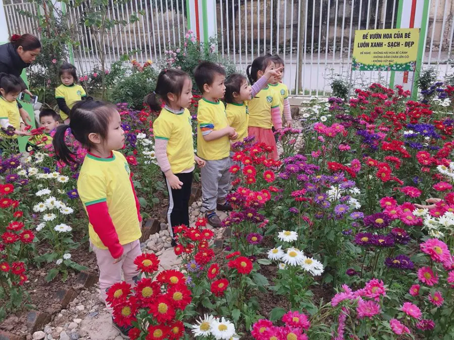 Trường mầm non Đoàn Thị Điểm