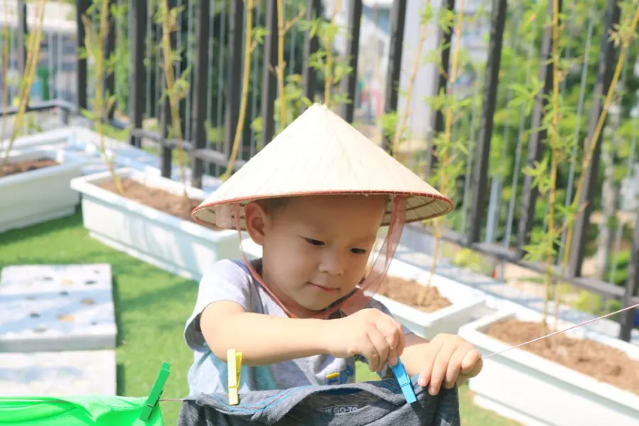 Trường mầm non Lá Phong Xanh Ecopark ( MLA The Maple Leaf International shool )