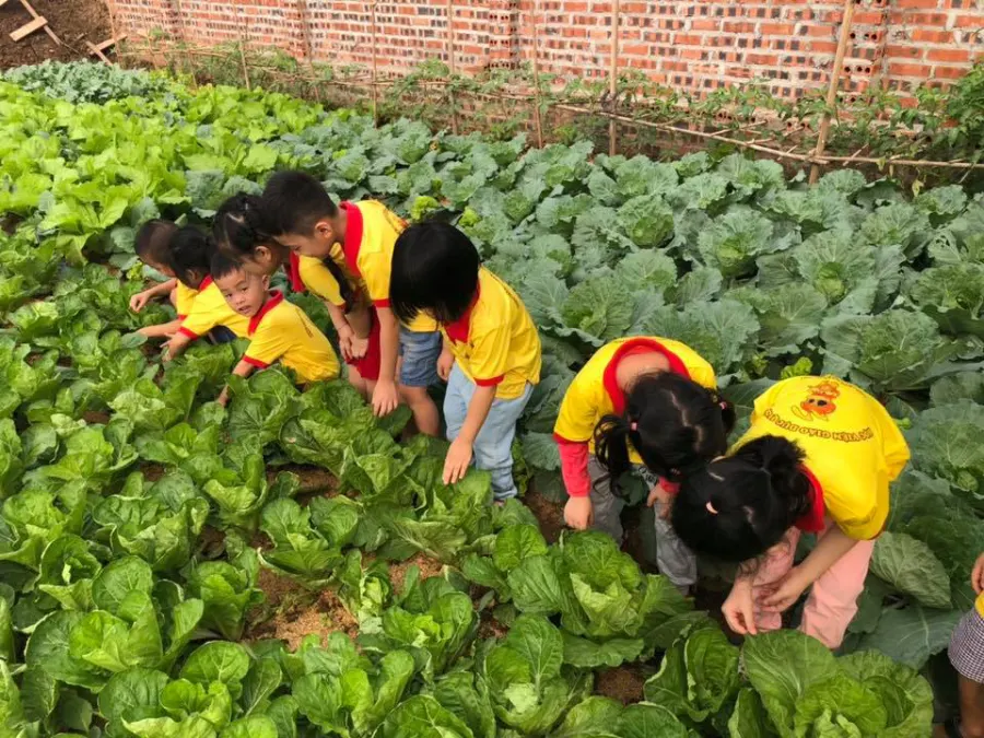 Mầm non Chú Kiến Nhỏ