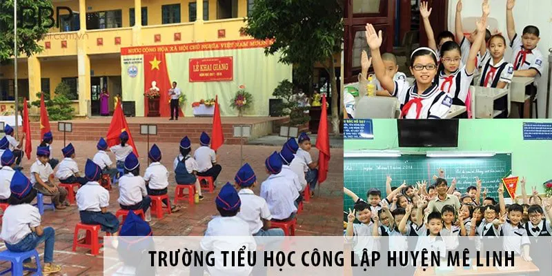 Trường tiểu học Tráng Việt A