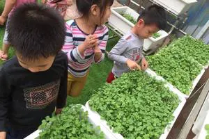 Trường mầm non Tuổi Hoa - Nghĩa Tân