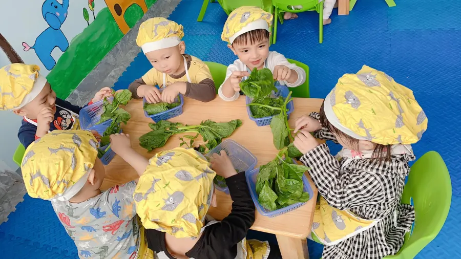 Trường Mầm Non Đức Trí