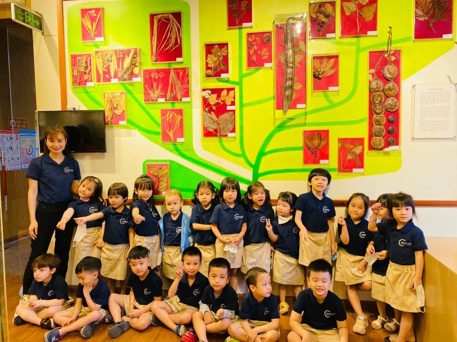 Trường mầm non song ngữ Green Life - Green Life preschool