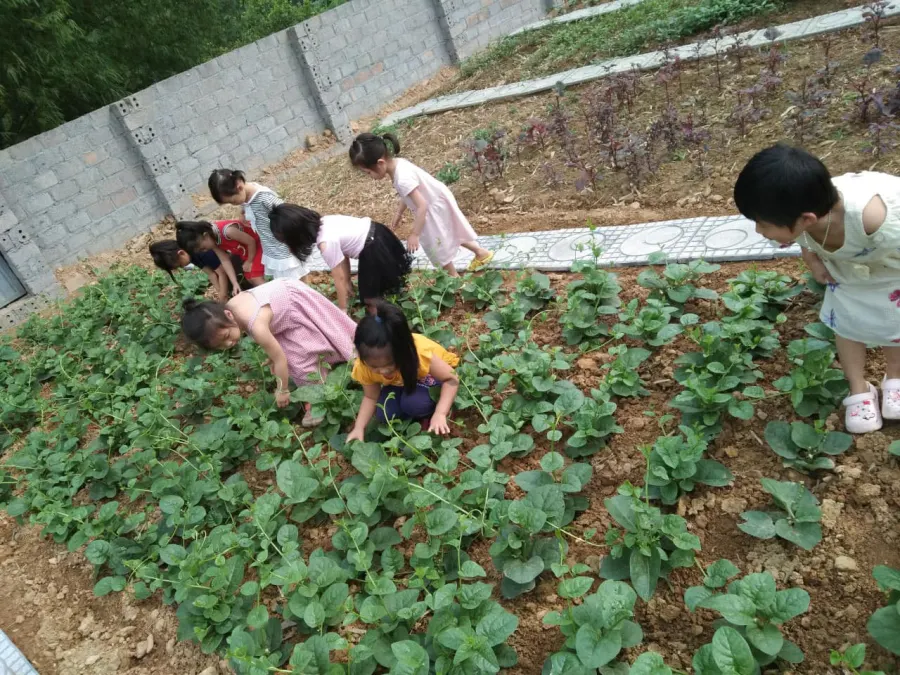 Trường Mầm Non Hoa Mai