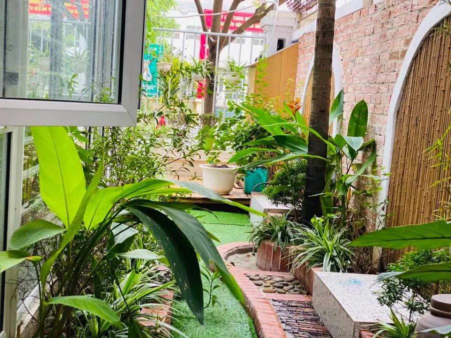 Trường mầm non The Little Cocoon