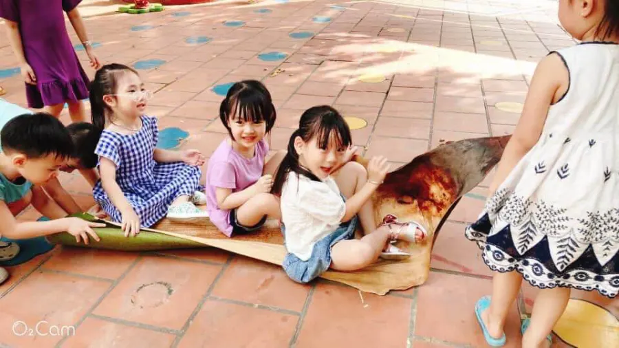 Trường MN Việt Hà - Cốc Lếu