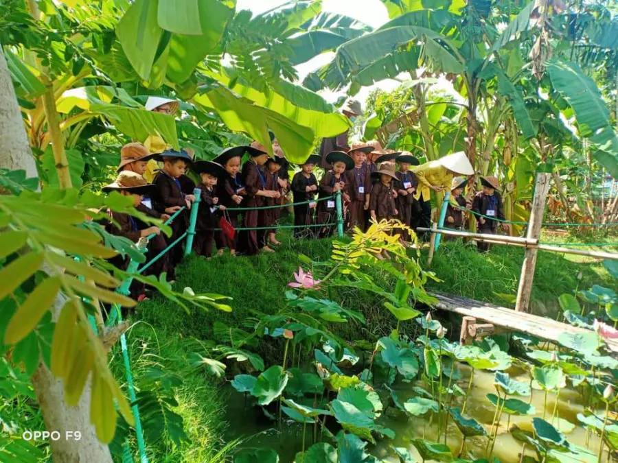 Trường mầm non Sao Việt Úc