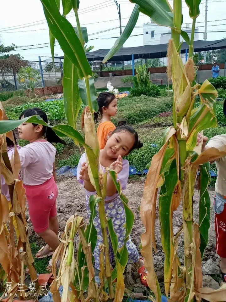 Mầm non sắc màu - Đông Thạnh