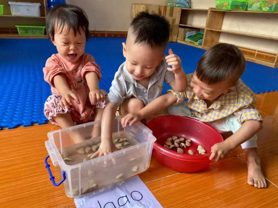 Trường mầm non Gấu Misa