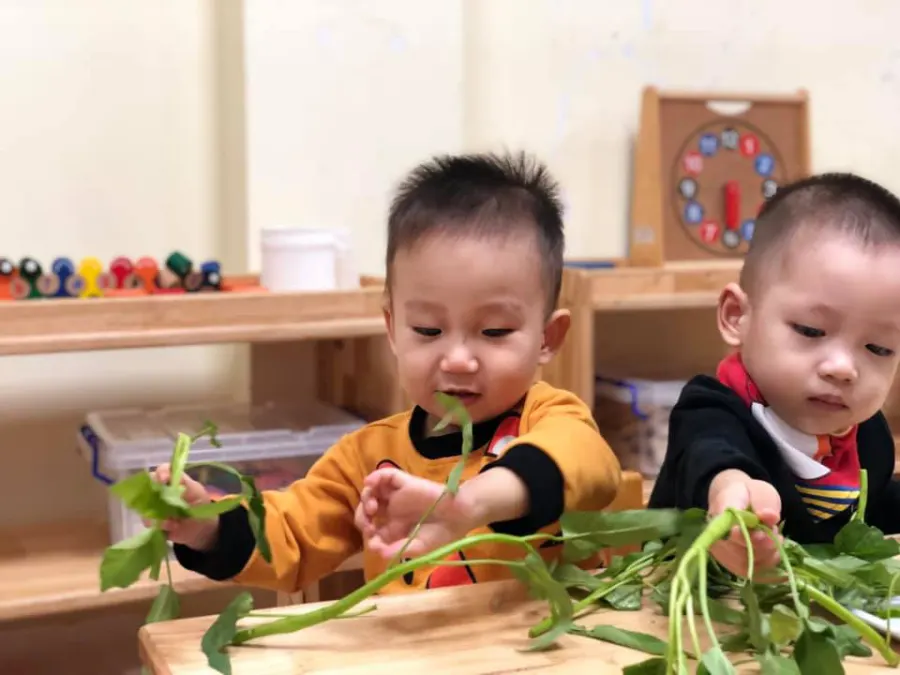 Trường mầm non Sun Academy - Yên Hòa