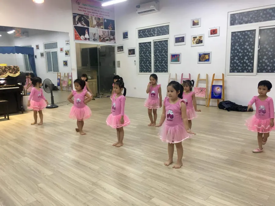 Trung tâm bồi dưỡng kỹ năng Ngôi Sao Việt