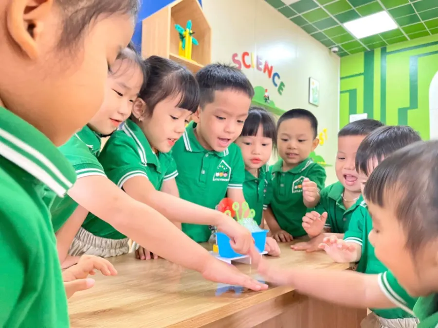 Trường Mầm Non Khu Rừng Nhỏ