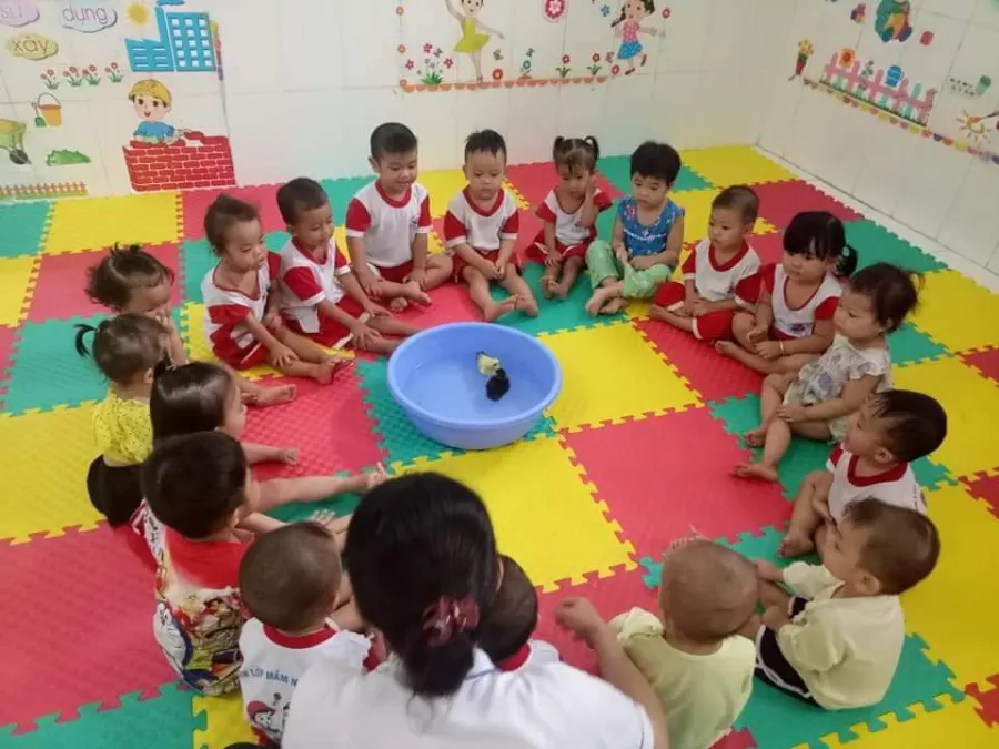 Mầm Non Như Ý